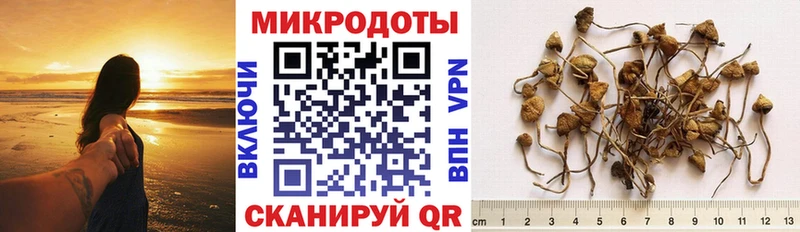 blacksprut как зайти  магазин    Безенчук  Псилоцибиновые грибы Psilocybe 